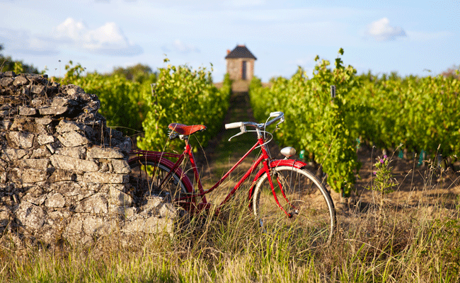 En Anjou, de merveilleux vins et spiritueux