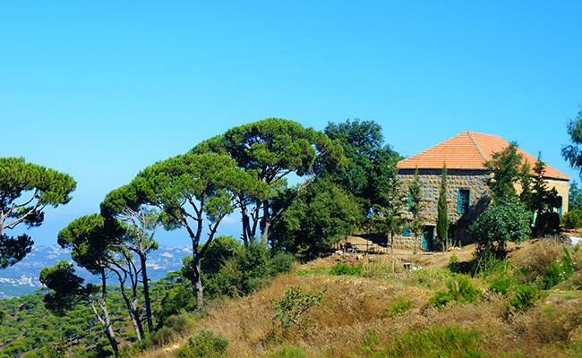 Jezzine's Culture: A Vibrant Blend of Architectural Heritage, Traditional Crafts, and Lively Festivals