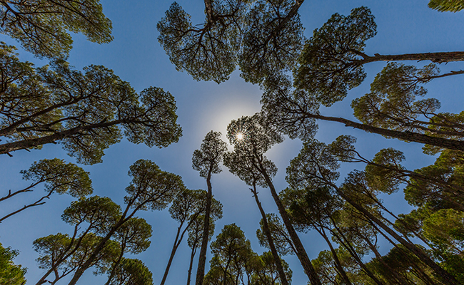 A Breathtaking Natural Environment, Perfect for Both Exploration and Relaxation